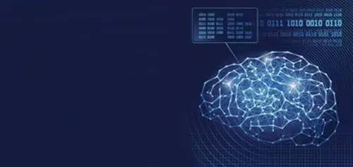 美国脑计划最新进展揭秘,步骤指南与突破点分析