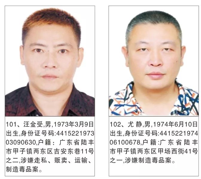 陆丰市最新通缉犯识别与防范指南，通缉犯信息公示及公众应对建议