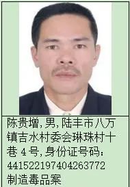 陆丰市最新通缉犯识别与防范指南,通缉犯信息公示及公众应对建议