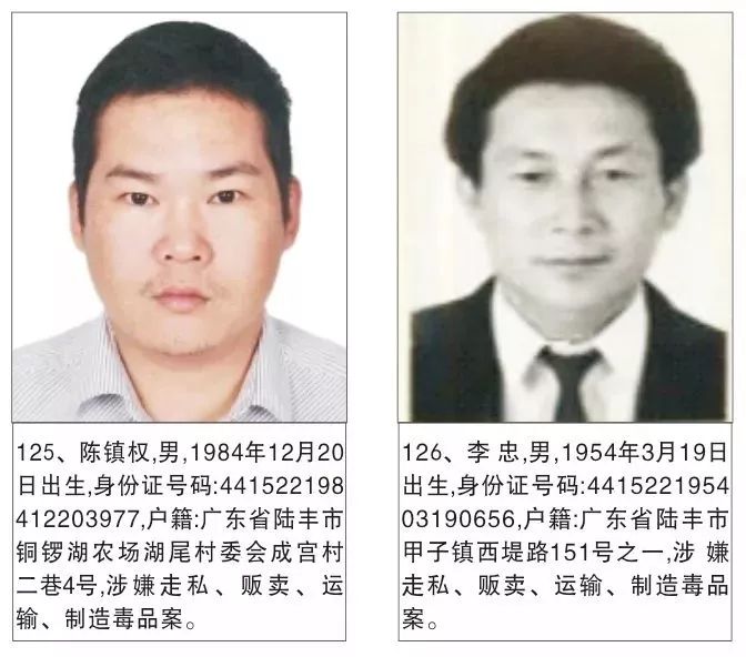 陆丰市最新通缉犯识别与防范指南,通缉犯信息公示及公众应对建议