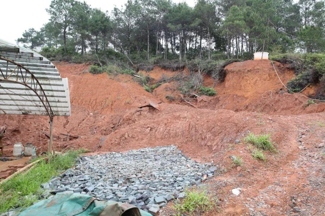 藤县撤县设市最新动态，科技新纪元下的新光芒闪耀藤县