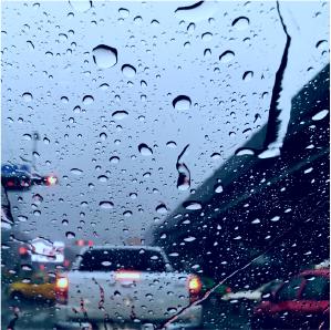 本溪最新一个月天气及详细分析