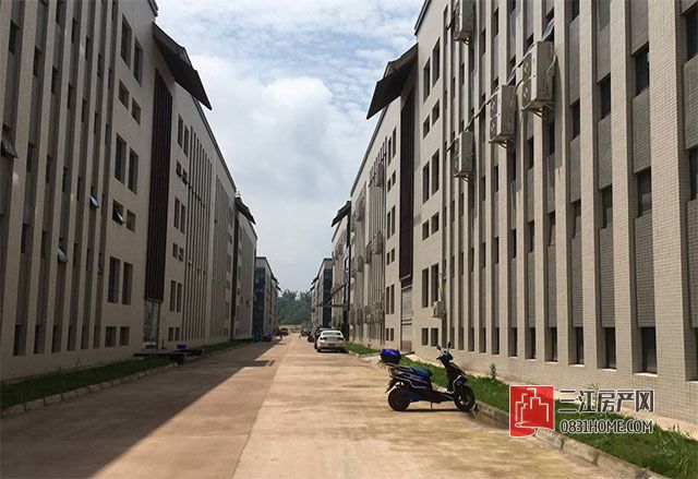 宜宾长江工业园最新动态与小巷深处的独特风味探秘