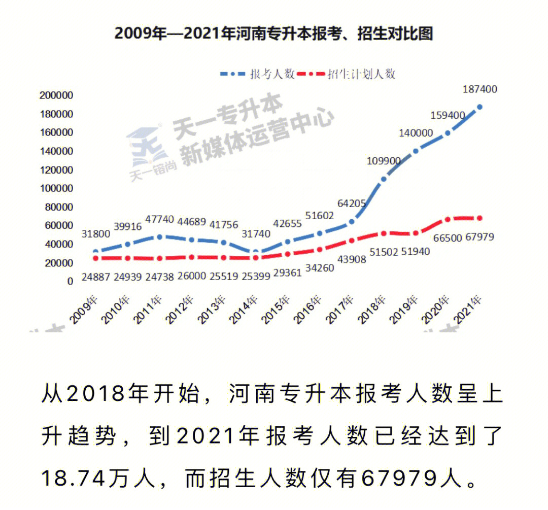 河南专升本考试调查最新进展揭秘，最新动态与成果汇总📘📚