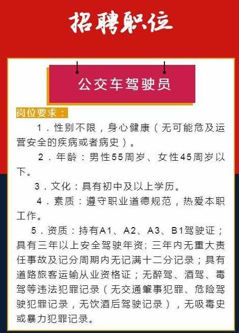 华安县最新驾驶员招聘探寻小巷独特风味之旅