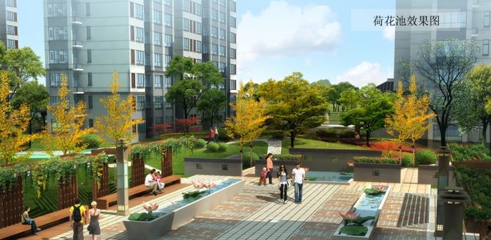 邳州雍福上城,家的温馨与友情的绽放最新消息