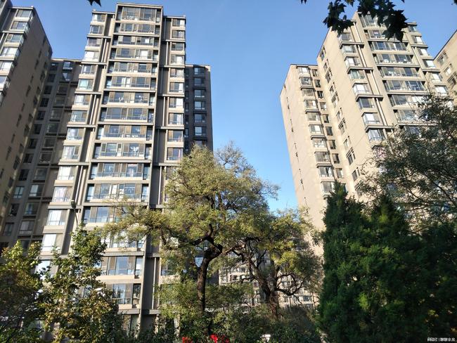北京市西红门最新消息,北京市西红门最新消息，城市发展的前沿动态