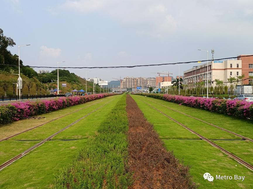 云埔工业区蓬勃发展势头强劲,未来可期,最新消息全面解读