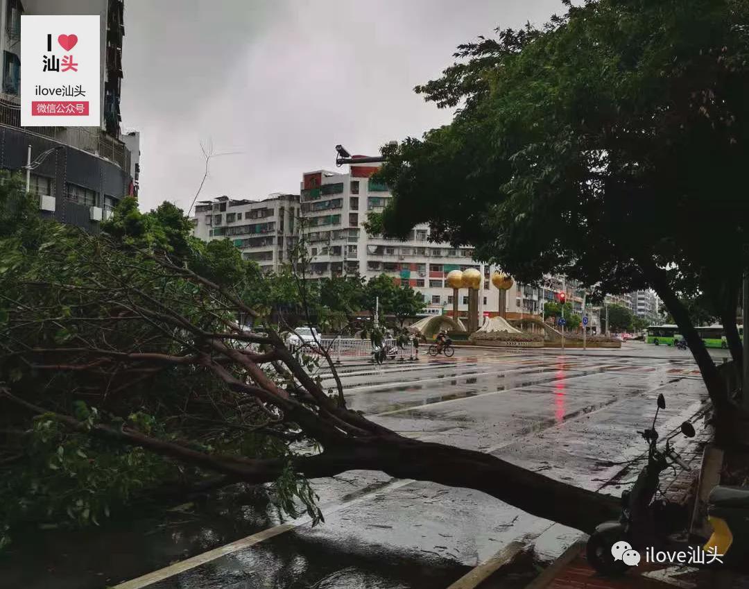 汕头台风苗柏最新动态与探索自然美景之旅