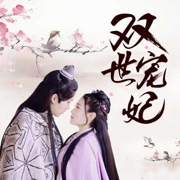 双世宠妃小说最新章节,甜蜜日常的温馨篇章更新及概述