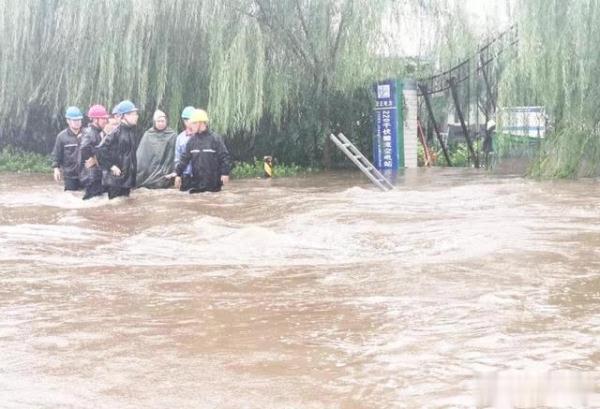 魏桥创业集团最新动态,小巷中的隐藏瑰宝