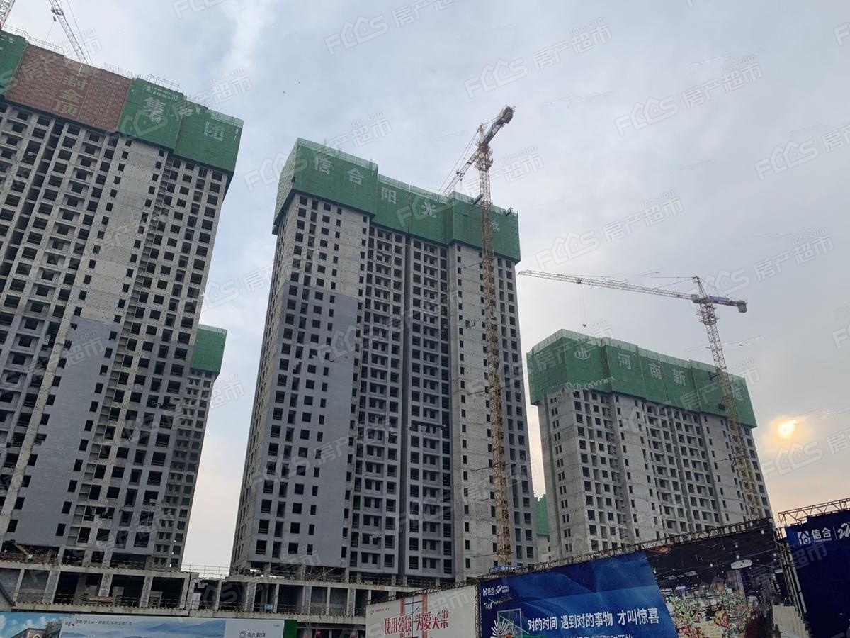 洛阳光合城最新动态更新