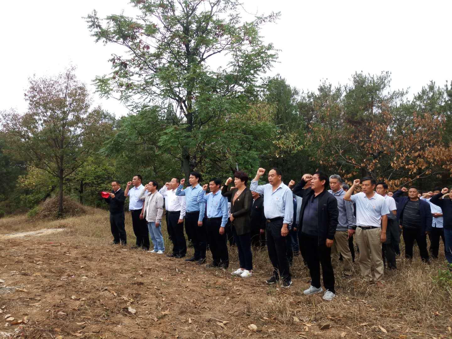 河南唐河湖阳最新新闻动态及其论述