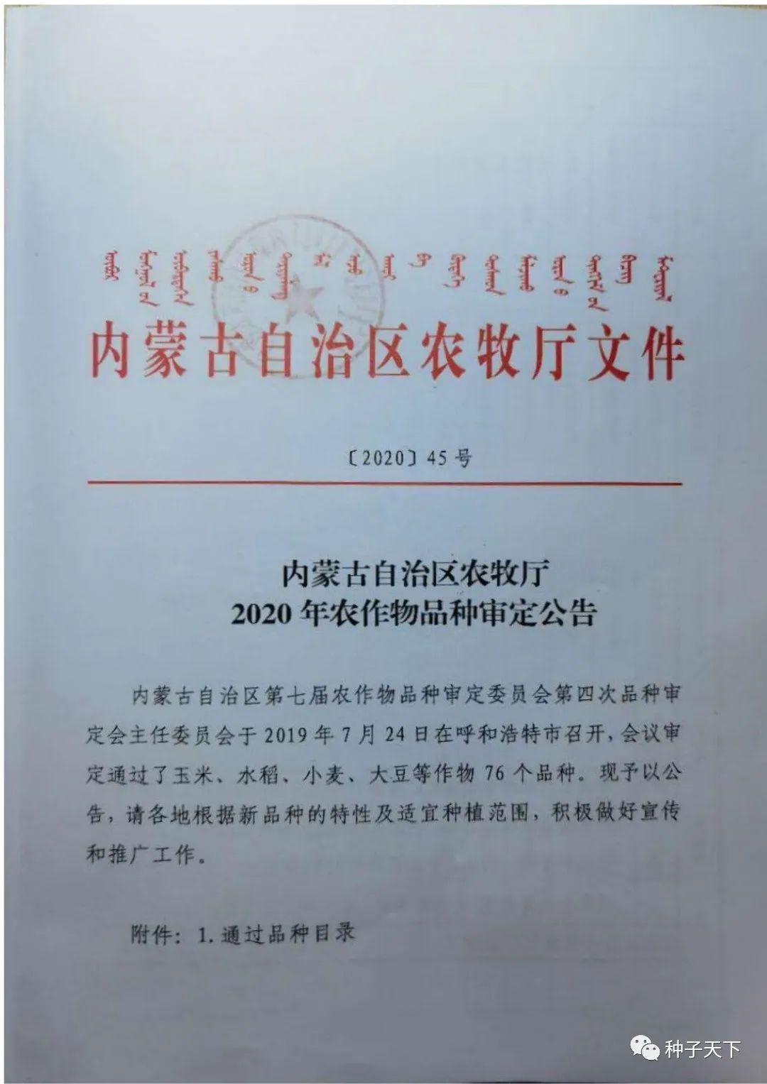 内蒙古紧急最新通告,内蒙古紧急最新通告背后的温馨故事