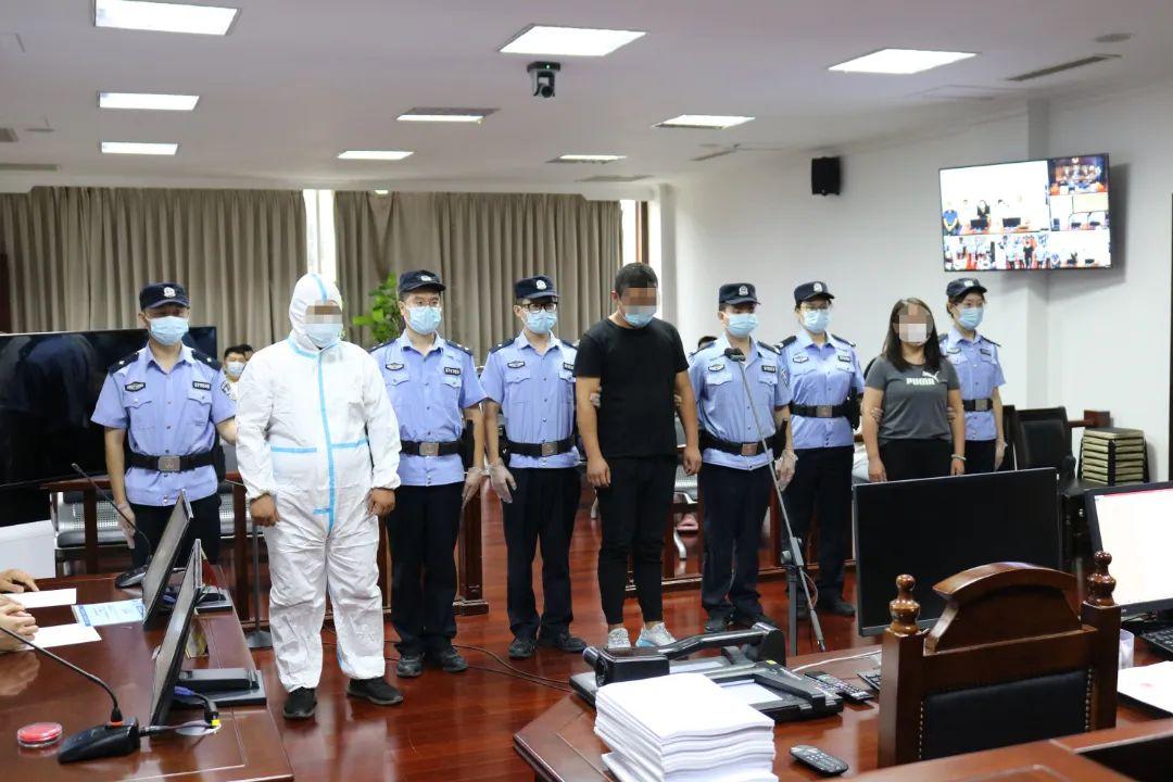 恶势力认定最新标准下的内心宁静之旅,大自然美景探寻