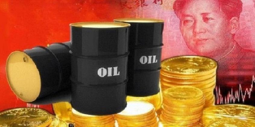 期权最新进展,梦想、友情与未来的温馨故事启程