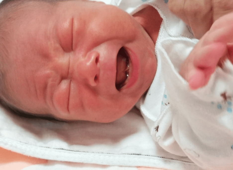 最新奶痧现象深度解析与观点阐述