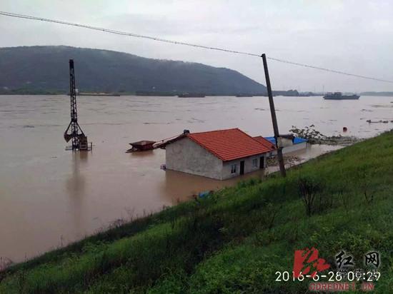 常德洪水最新动态,科技守护家园,智能预警引领抗灾未来