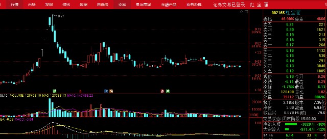 股票红宝丽,深度探究其魅力与价值