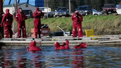 揭秘加拿大最新动态,精彩资讯不容错过!