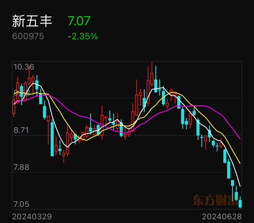 新五丰股票,投资热点及前景展望分析