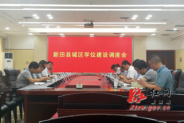 湖南新田县最新动态揭秘,小巷深处的独特风情