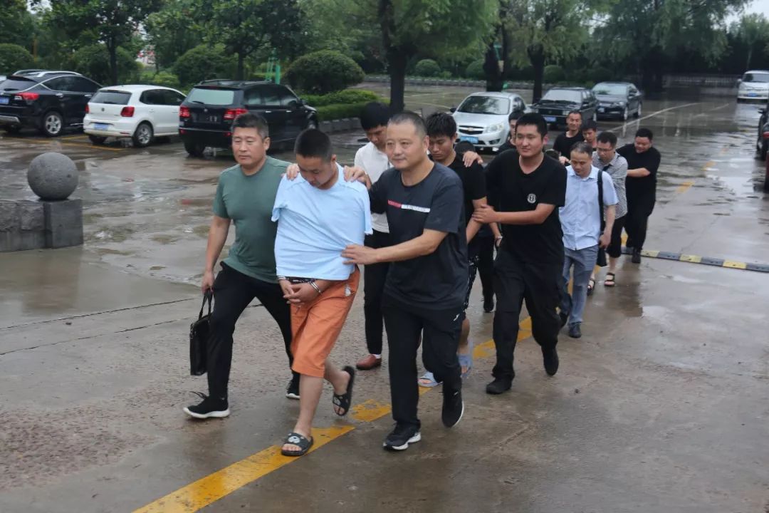 莒南最新案件,法律视角的深入分析与探讨