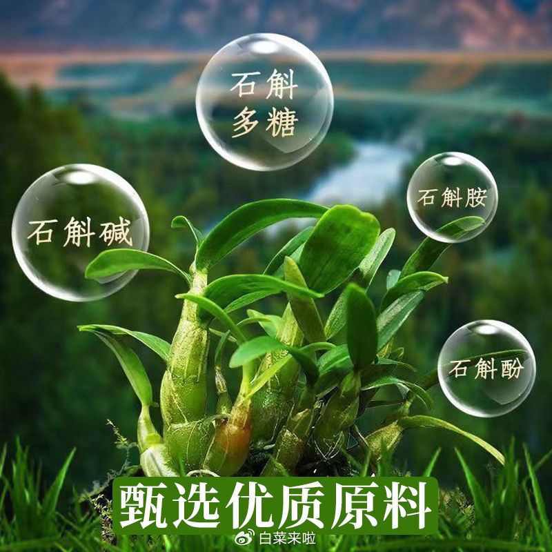 石斛原浆价格表，一段友情与陪伴的温馨故事之旅