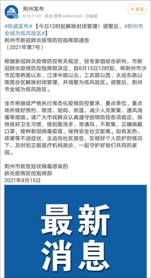 荆州疫情最新动态深度解析，观点阐述与分析