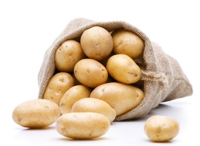 济宁土豆情缘揭秘,价格背后的温情故事与土豆情缘展望