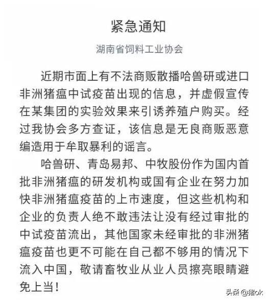 青岛易邦上市,青岛易邦上市,开启新篇章,引领行业新风向