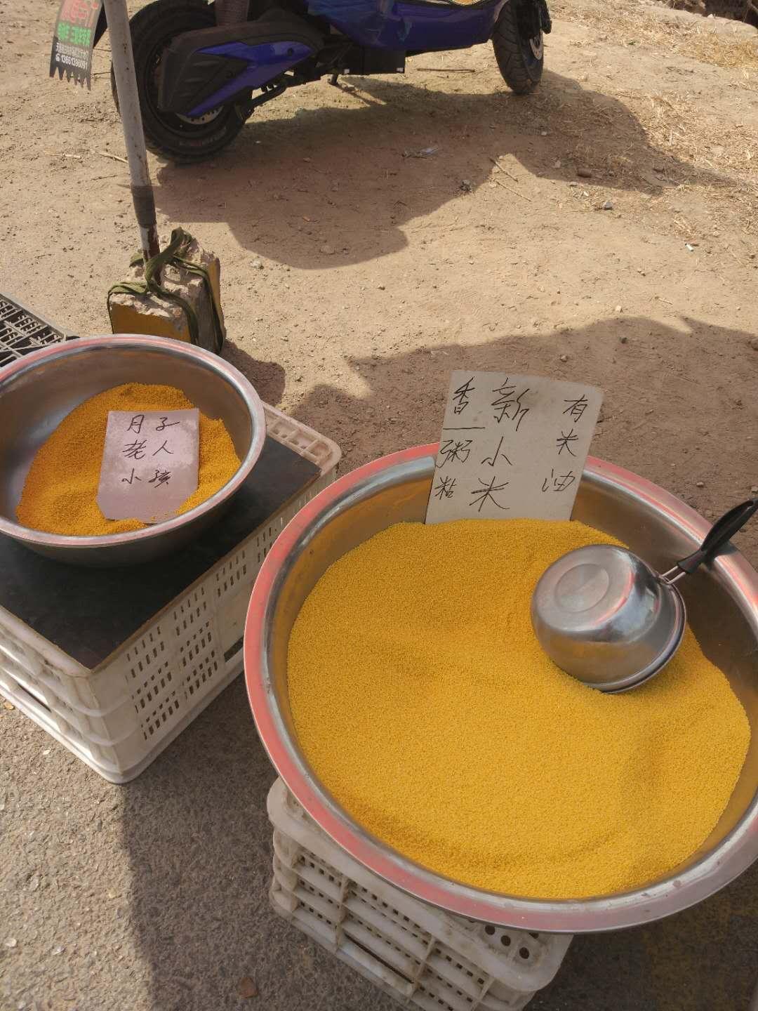 北京芒果行情详解，选购、鉴别与投资的初学者与进阶用户指南