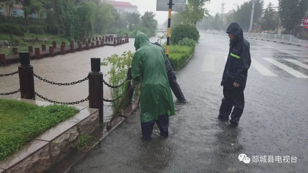 郯城事件最新动态，小巷深处的独特小店揭秘