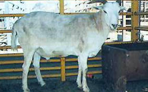 最新病例报道与科技领跑重塑生活品质