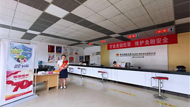 阳光保险股票投资前景及市场动态分析