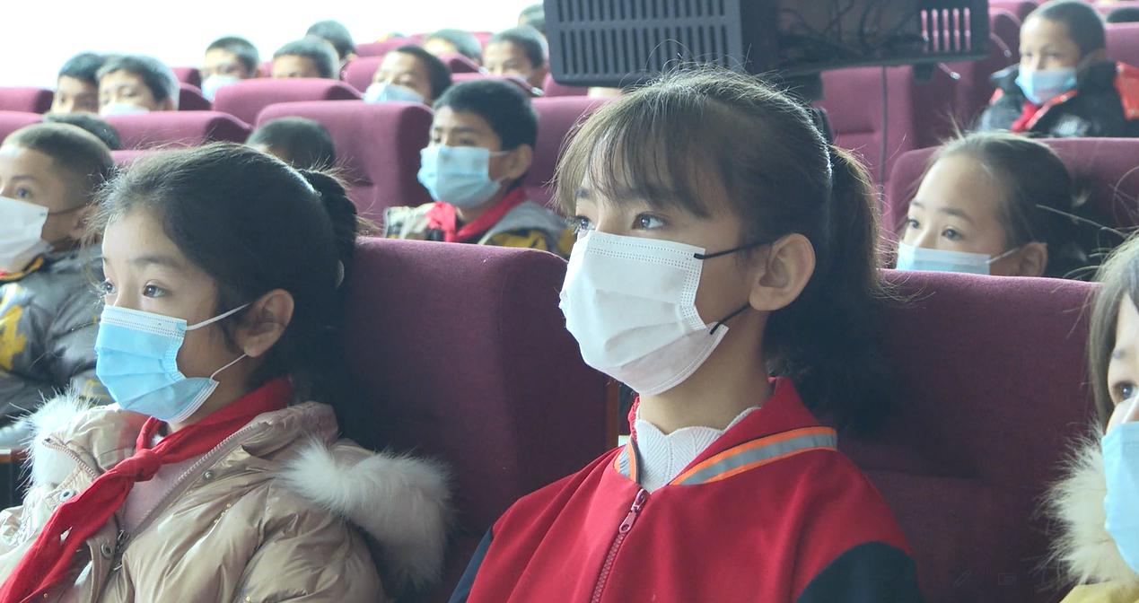 感恩电影,友情与陪伴的温馨传奇