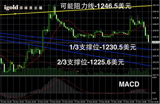 贵金属行情深度解析，掌握分析技巧与策略