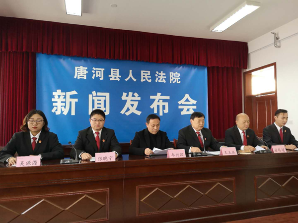唐河最新新闻报道及论述摘要