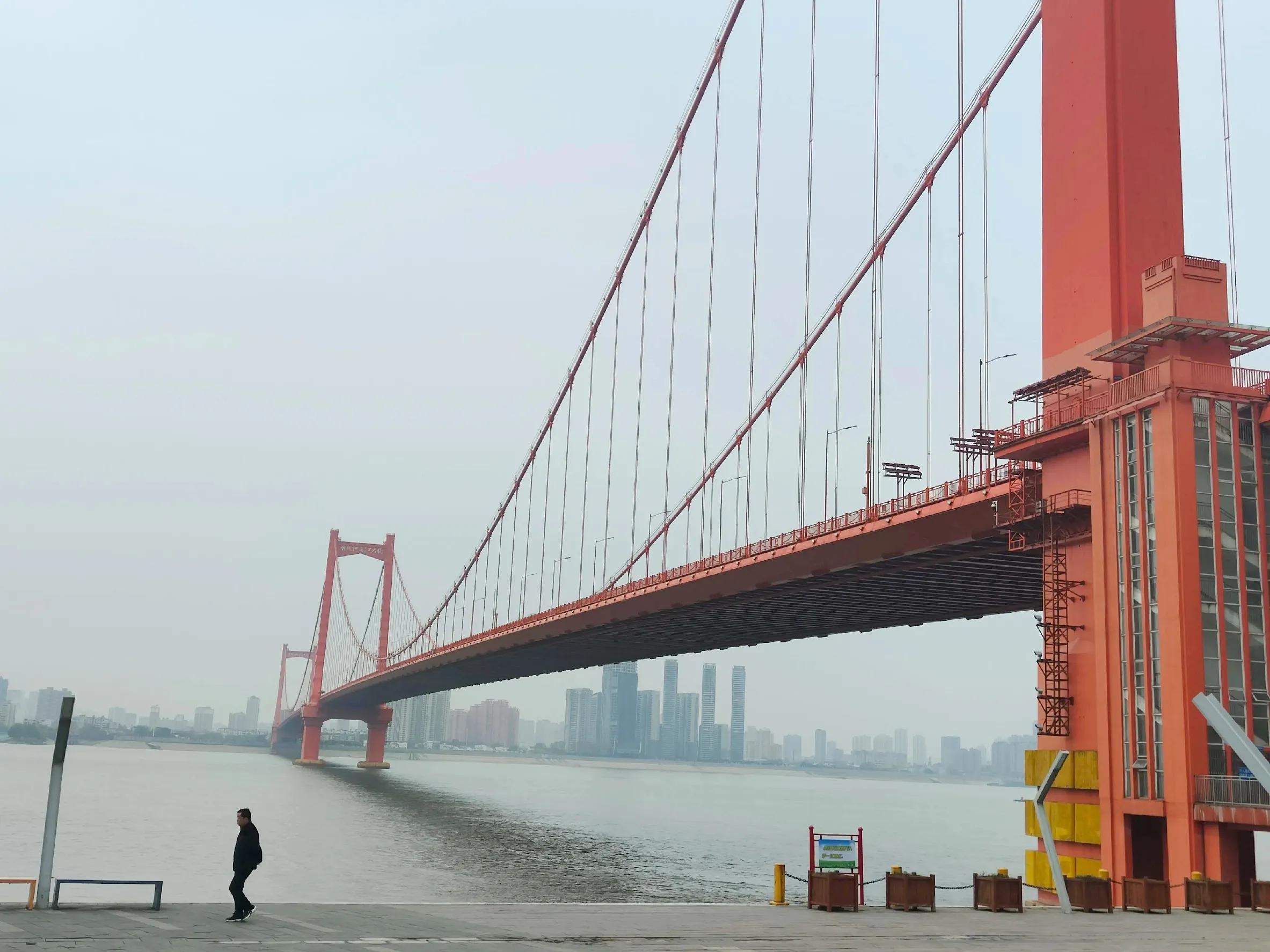 鹦鹉洲最新隐秘美食探索,小巷中的美食宝藏