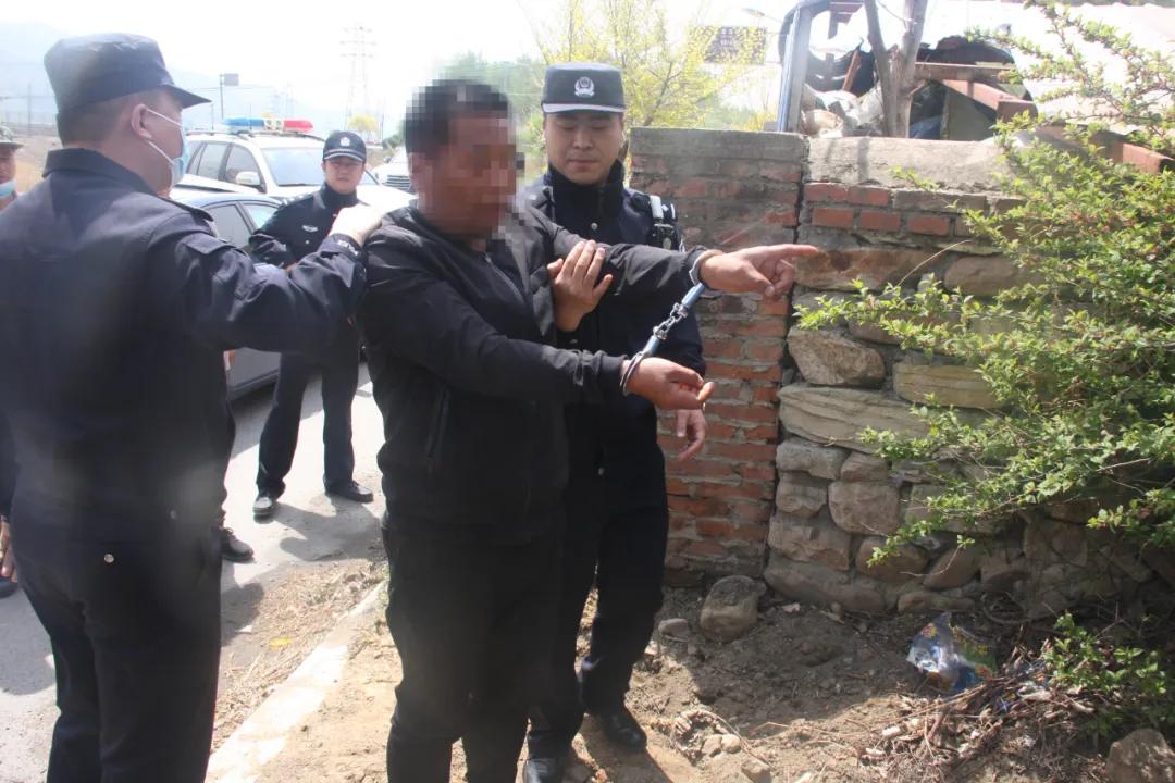 辽阳最新命案,小巷神秘小店背后的秘密揭晓