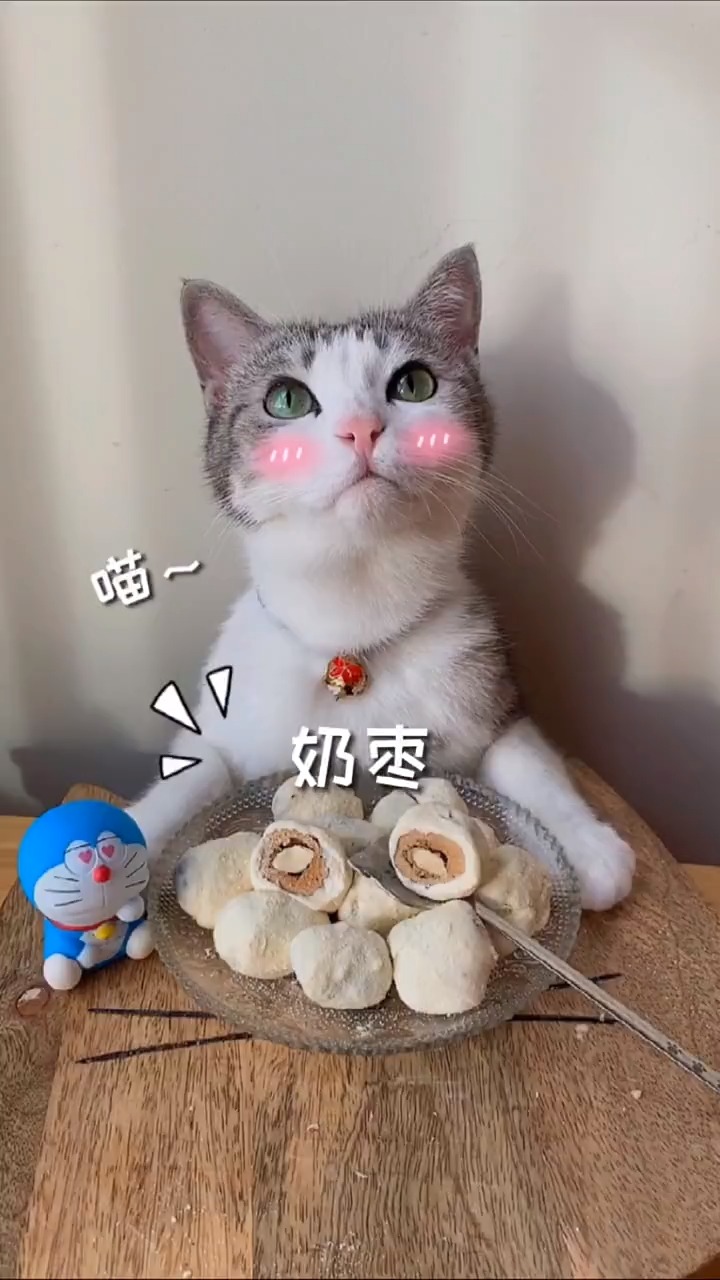最新声控喵，自然美景探险之旅，寻找内心的平和与宁静