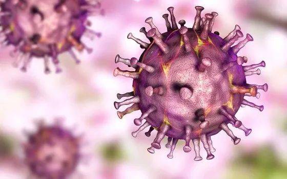 最新瘟疫动态,变化中的学习带来的自信与成就感