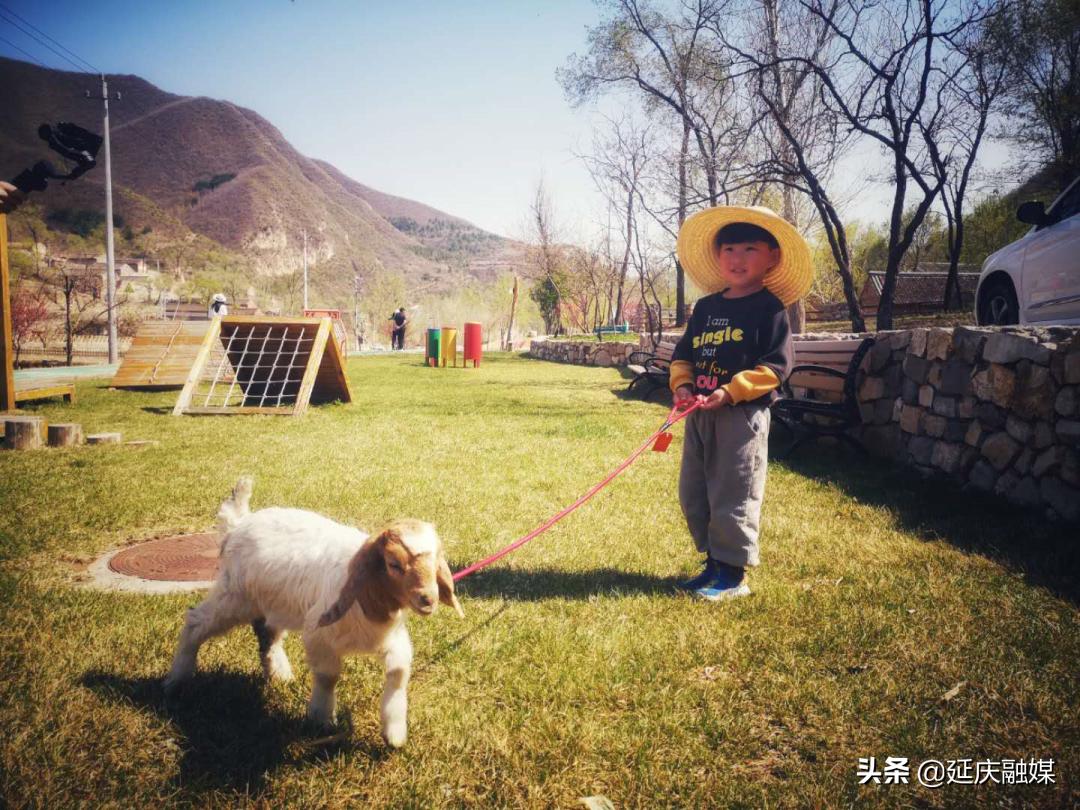 植物保姆全攻略,从入门到进阶,植物照顾指南