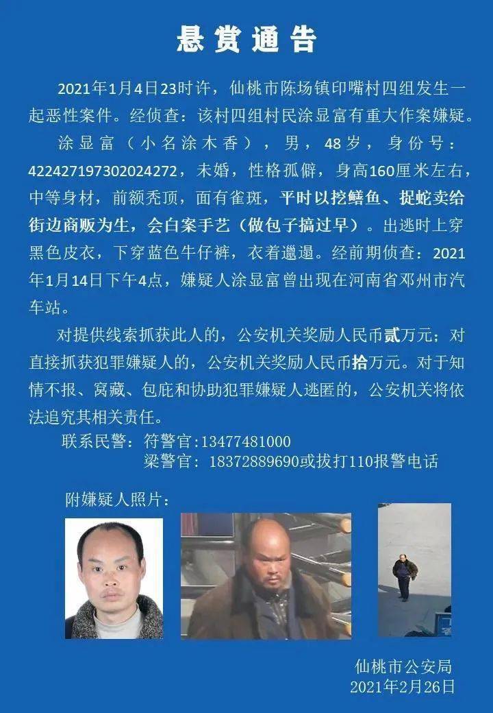 仙桃最新悬赏,探索自然美景之旅,寻找内心平和之地