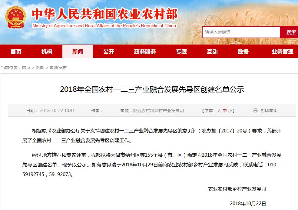 鸡泽最新网,友情小窝与温馨陪伴的聚集地