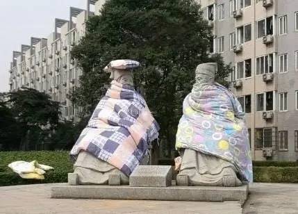 最新晒被子，阳光与温暖守护你的健康